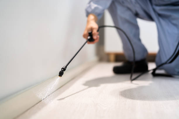 Licensed Pest Control service in Ramsey, NJ - Show Me Pest Control