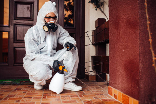 Reliable Wasp Removal contractor in Ramsey, NJ by Show Me Pest Control