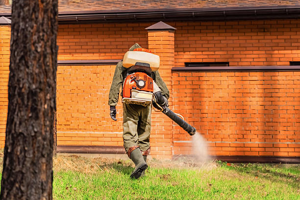 Top rated local Wasp Removal specialists in Ramsey, NJ